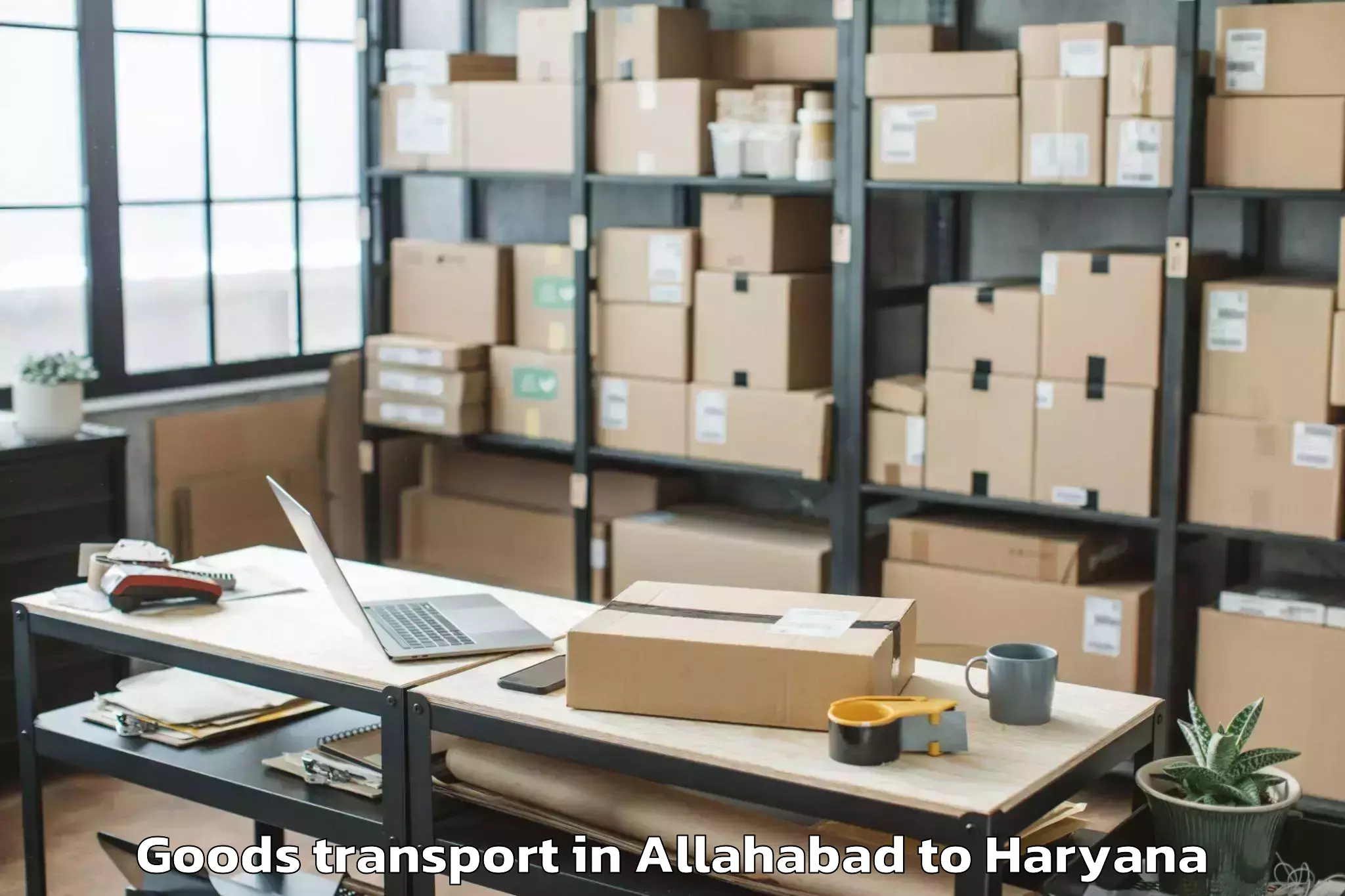 Professional Allahabad to Palwal Goods Transport